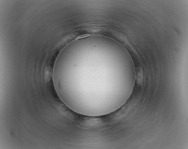 X0000113960476200910091633