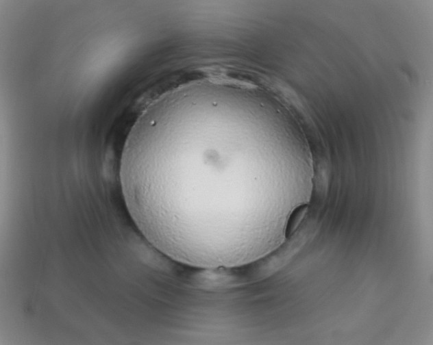 X0000113960477200910091633