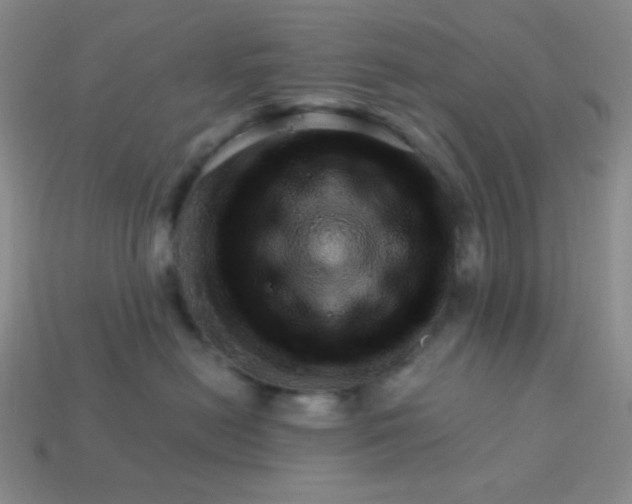 X0000113960478200910091633