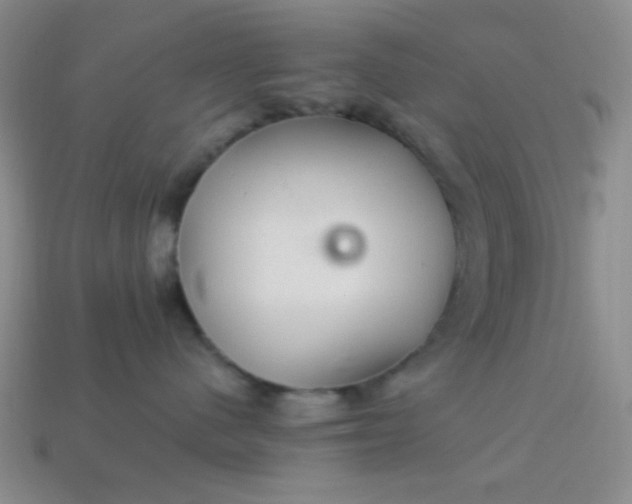 X0000113960480200910091633