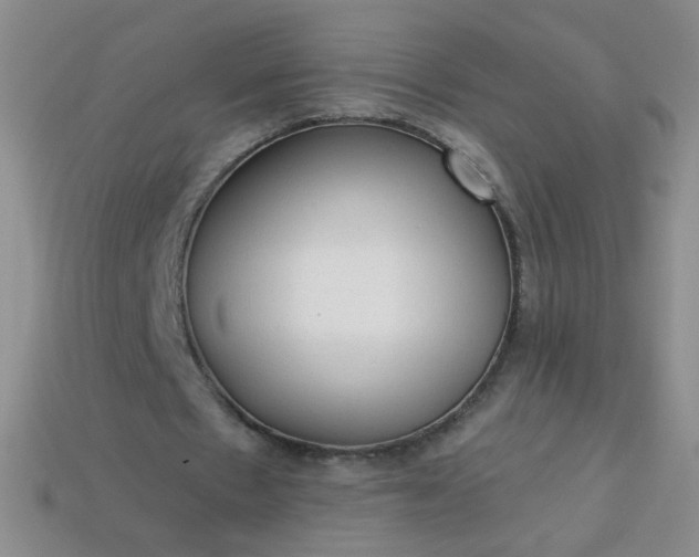 X0000113960481200910091632