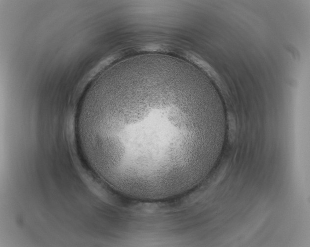 X0000113960482200910091632