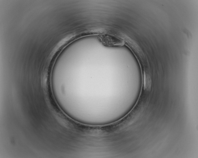 X0000113960483200910091632