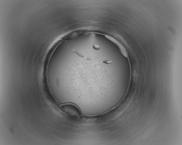 X0000113960484200910091632