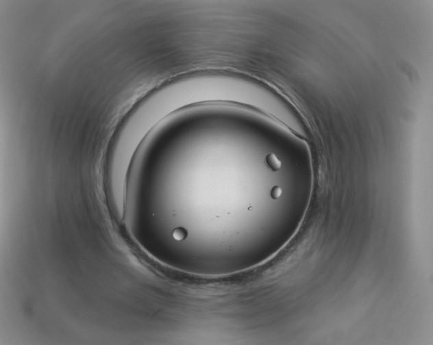 X0000113960485200910091632