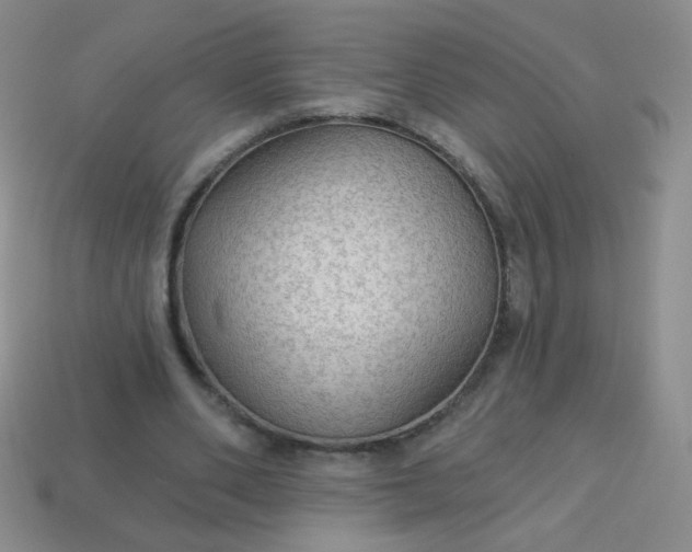 X0000113960486200910091632