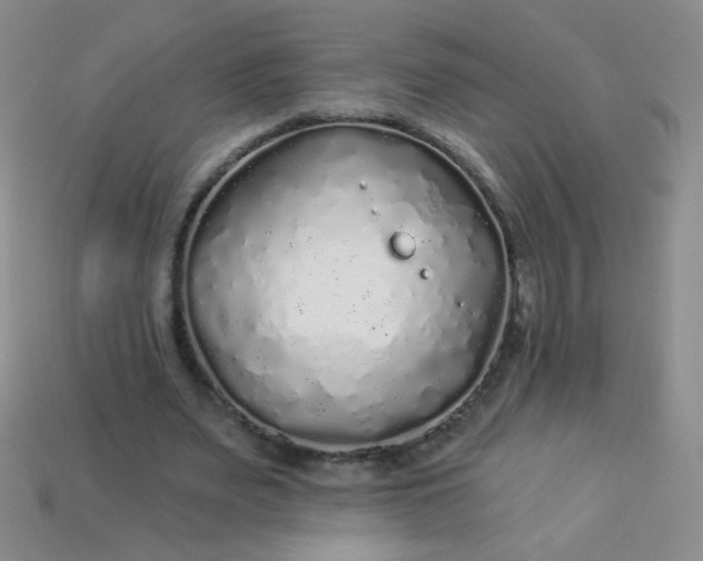 X0000113960487200910091632