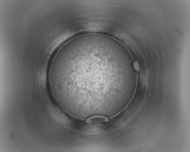 X0000113960488200910091632