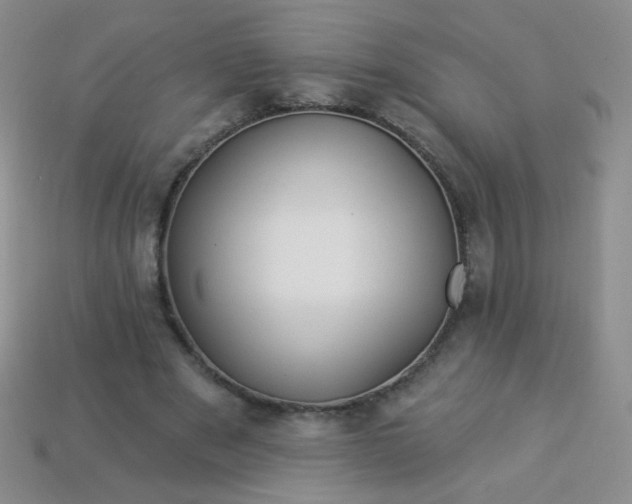 X0000113960489200910091632