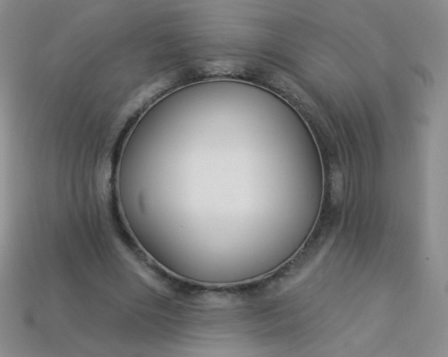 X0000113960490200910091632