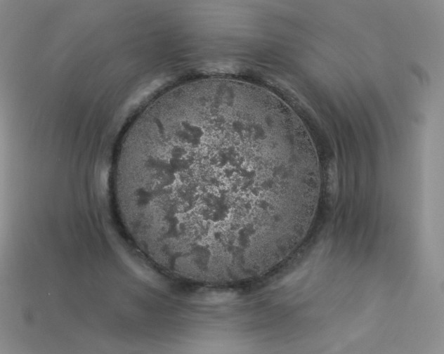 X0000113960491200910091632