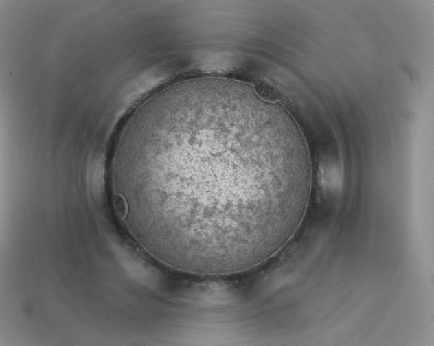 X0000113960492200910091632