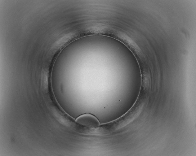 X0000113960493200910091632