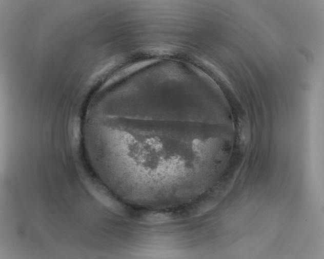 X0000113960494200910091632