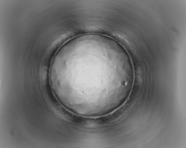 X0000113960495200910091632