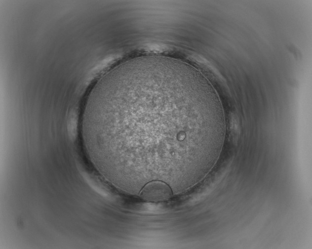 X0000113960496200910091632