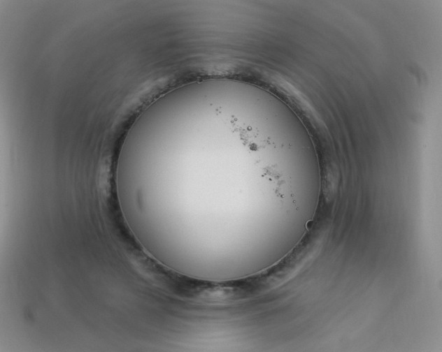 X0000113960497200910091632