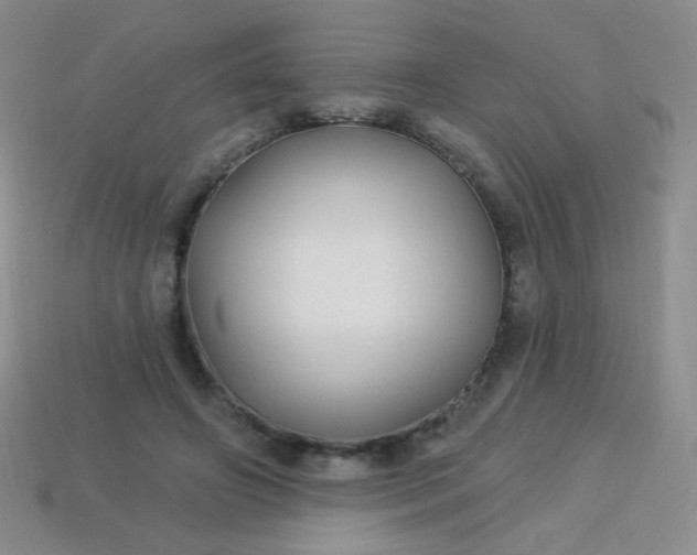 X0000113960498200910091632