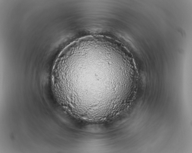 X0000113960499200910091632