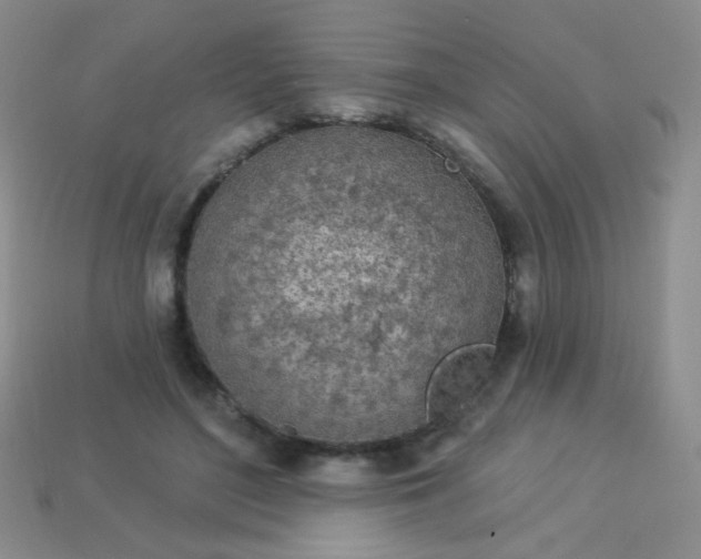 X0000113960500200910091632