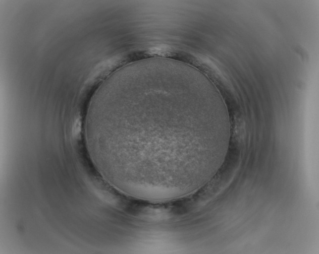 X0000113960502200910091632