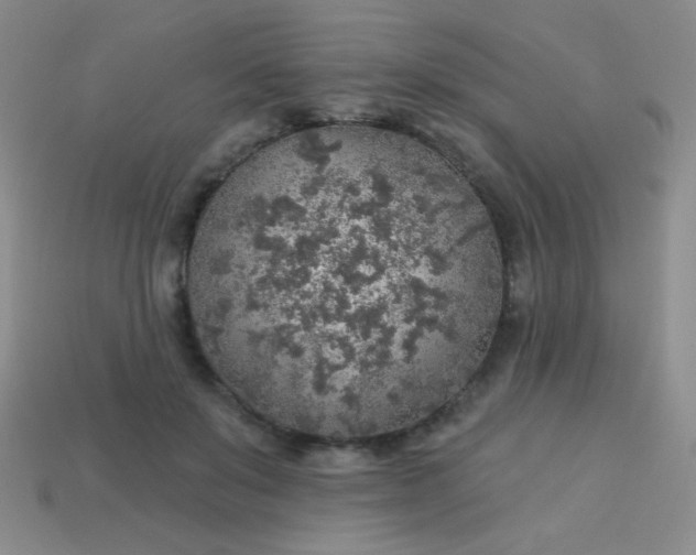 X0000113960503200910091632