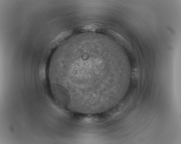 X0000113960504200910091632