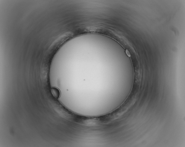 X0000113960505200910091632