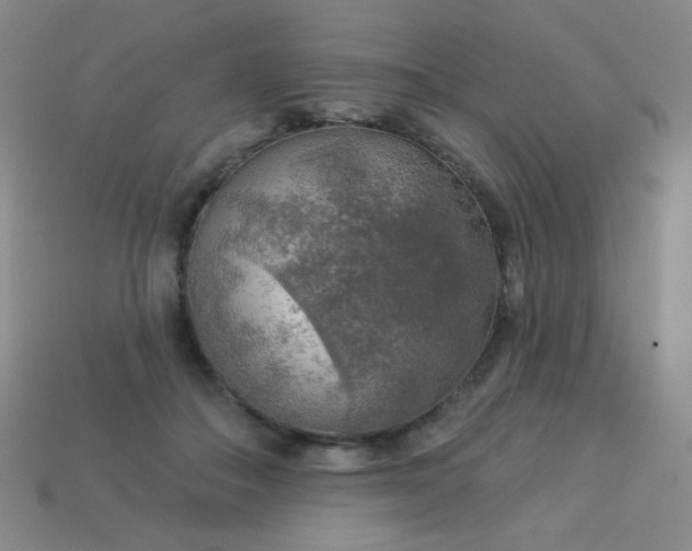 X0000113960506200910091632