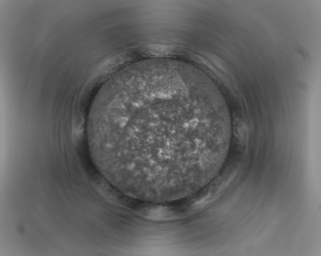 X0000113960507200910091632