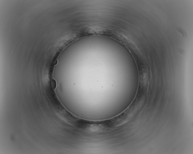 X0000113960508200910091632