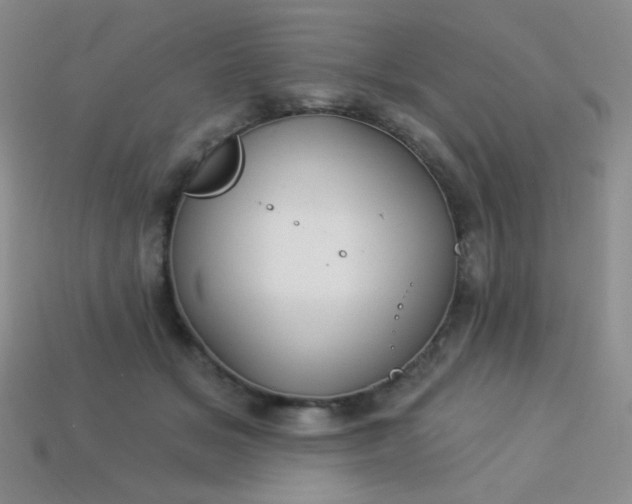 X0000113960509200910091632