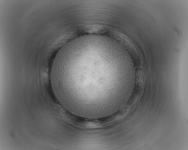 X0000113960510200910091632