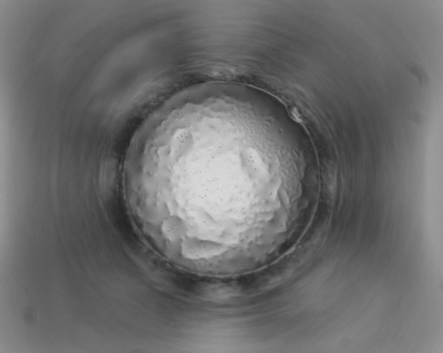 X0000113960511200910091632