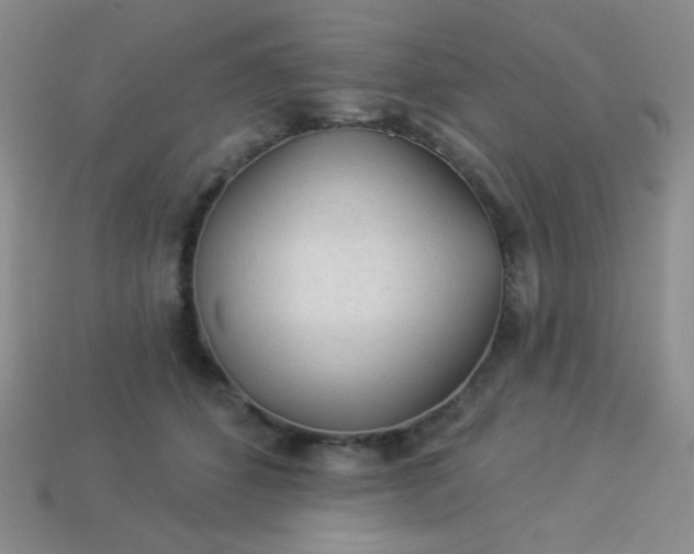 X0000113960512200910091632