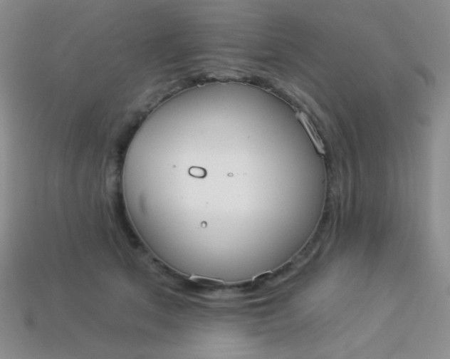 X0000113960513200910091632