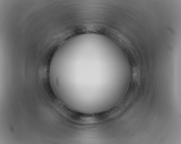 X0000113960514200910091632