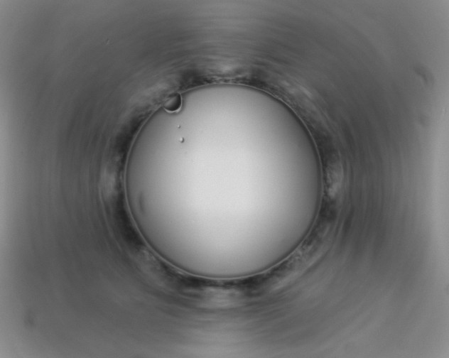 X0000113960515200910091632