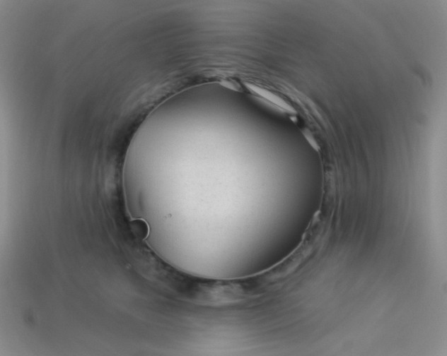 X0000113960517200910091632