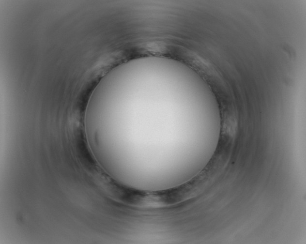 X0000113960518200910091632