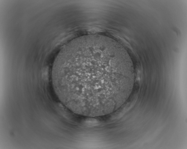 X0000113960519200910091632