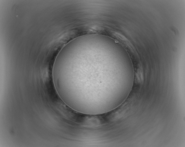 X0000113960520200910091632