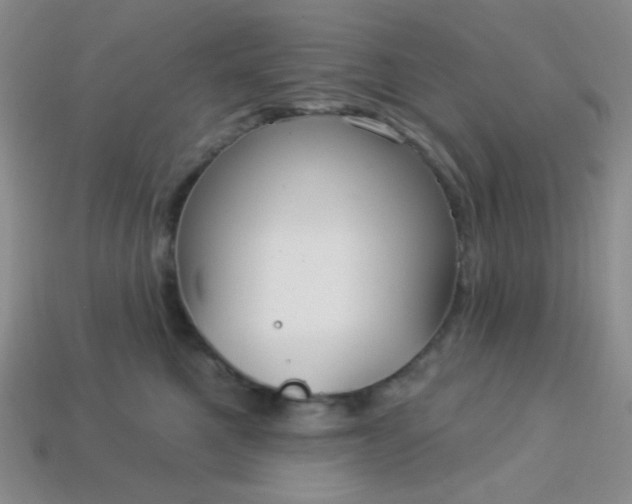 X0000113960521200910091632