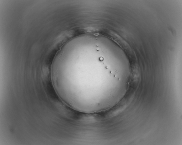 X0000113960523200910091632