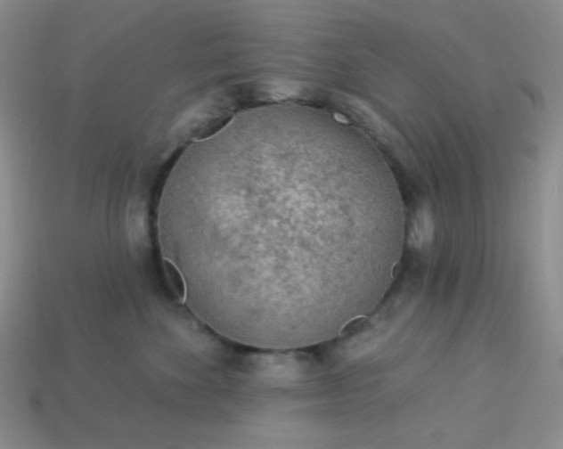 X0000113960524200910091632