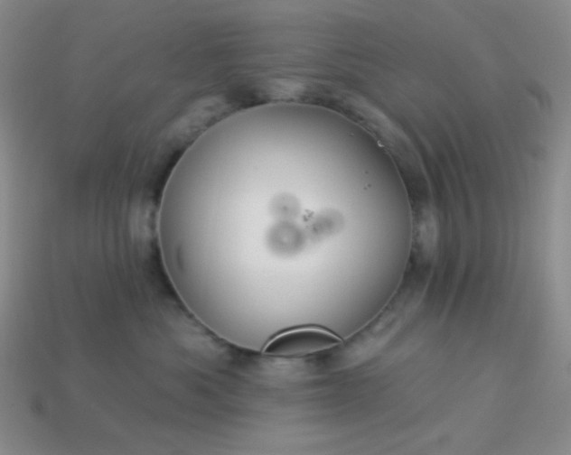 X0000113960525200910091632