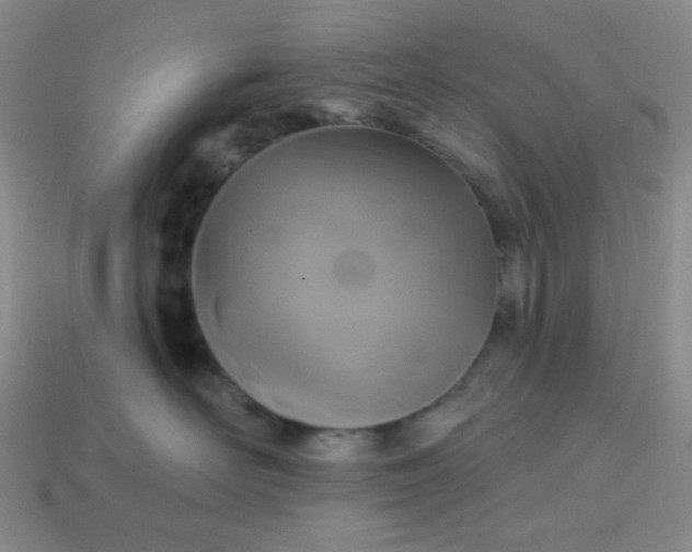 X0000113960526200910091632