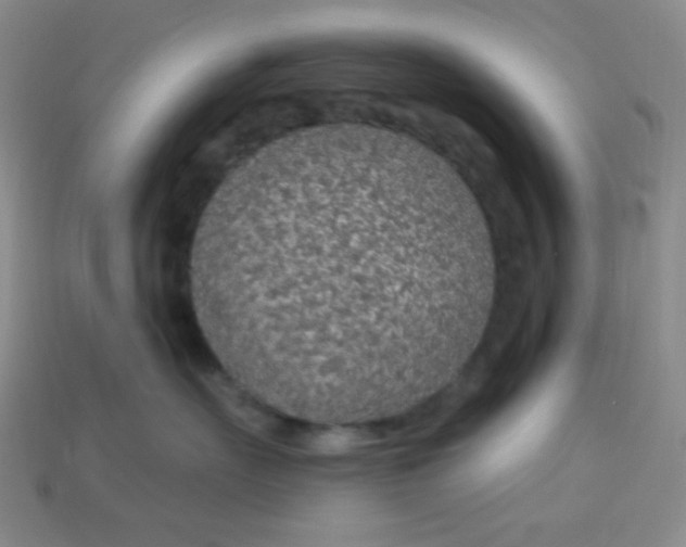 X0000113960527200910091632