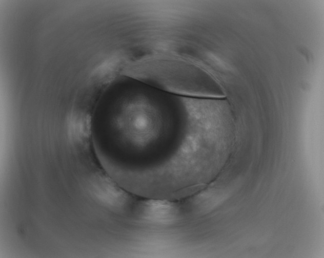 X0000113960528200910091632