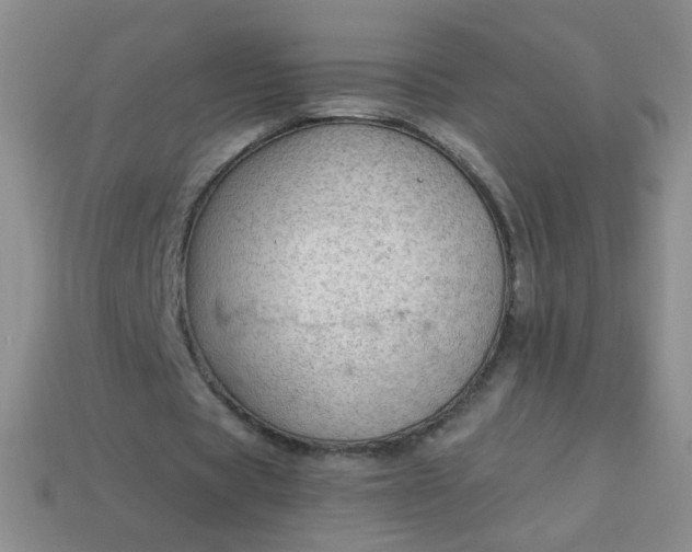 X0000113960529200910091631